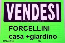 casa indipendente in vendita a Padova in zona Forcellini / Terranegra