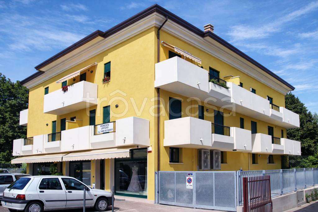 appartamento in vendita a Padova in zona Mandria