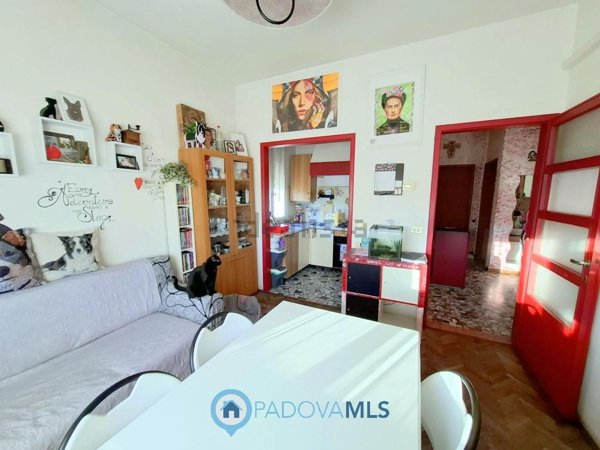 casa indipendente in vendita a Padova in zona Sant'Osvaldo / Santa Rita