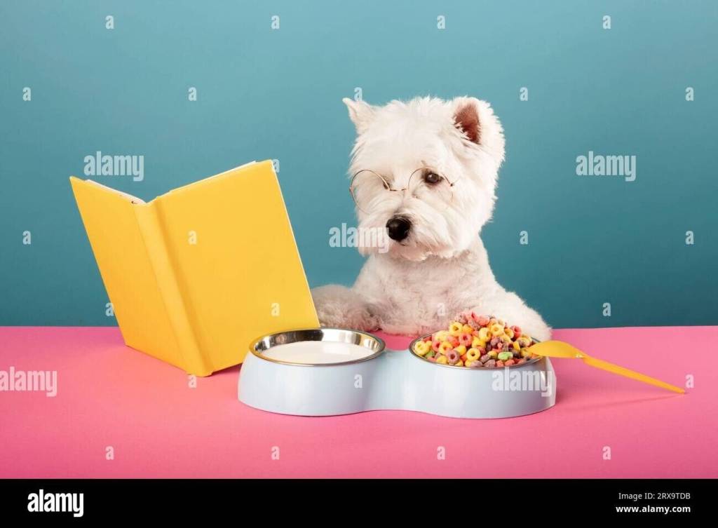 negozio in vendita a Padova