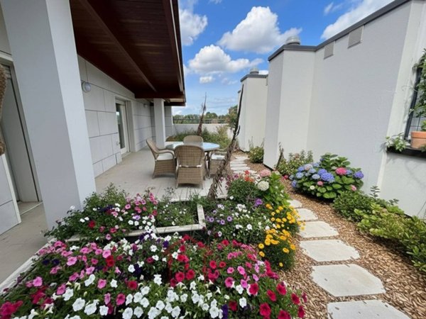 appartamento in vendita a Padova in zona Forcellini / Terranegra