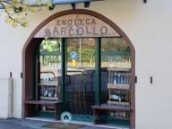 negozio in vendita a Padova in zona Guizza