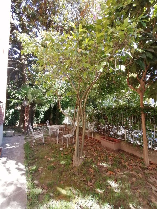 appartamento in vendita a Padova in zona San Giuseppe