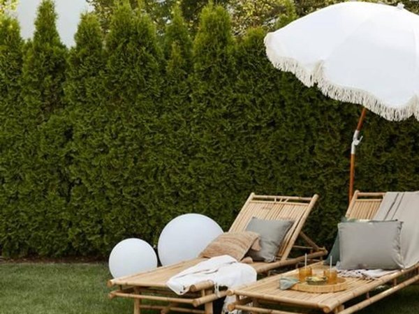 appartamento in vendita a Padova in zona Pontevigodarzere