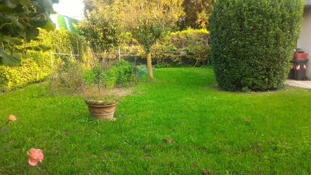 casa indipendente in vendita a Padova in zona San Carlo