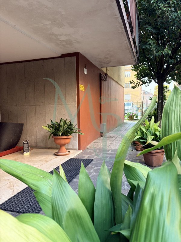 appartamento in vendita a Padova in zona Arcella