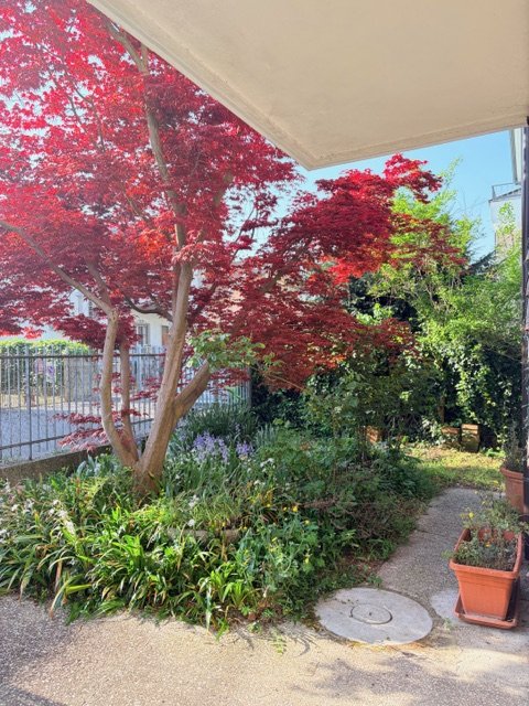 casa indipendente in vendita a Padova in zona Mandria