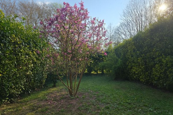 casa indipendente in vendita a Padova in zona Montà