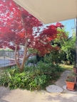 casa indipendente in vendita a Padova in zona Armistizio