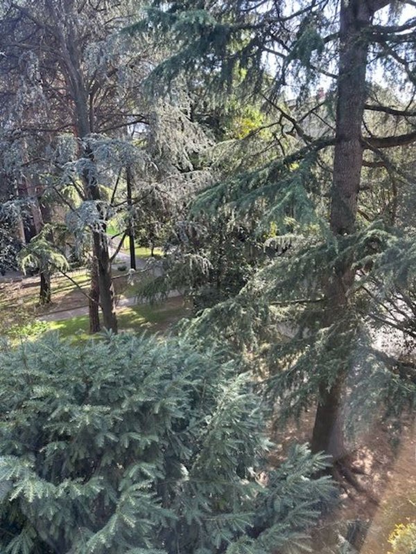 appartamento in vendita a Padova in zona Forcellini / Terranegra