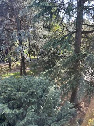 appartamento in vendita a Padova in zona Forcellini / Terranegra