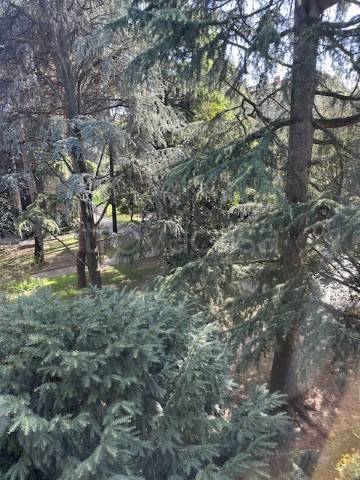 appartamento in vendita a Padova