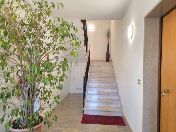 appartamento in vendita a Padova in zona Forcellini / Terranegra