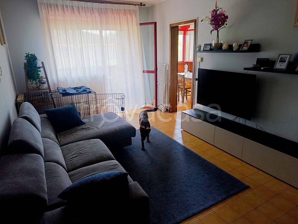 appartamento in vendita a Padova in zona Mortise