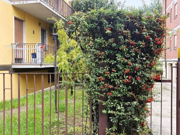 appartamento in vendita a Padova in zona Sant'Osvaldo / Santa Rita