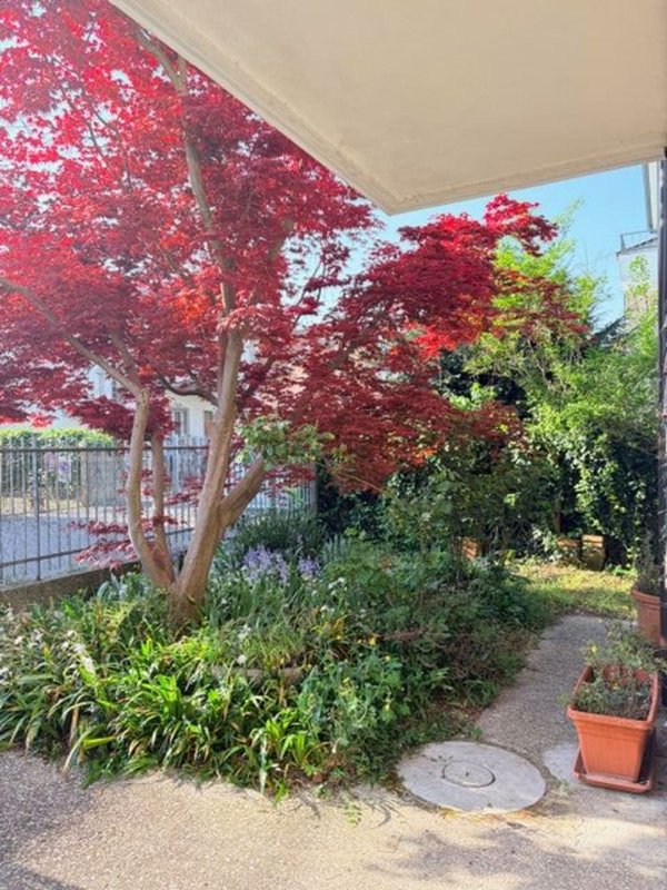 casa indipendente in vendita a Padova in zona Mandria