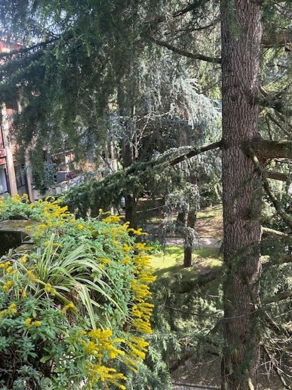 appartamento in vendita a Padova in zona Forcellini / Terranegra