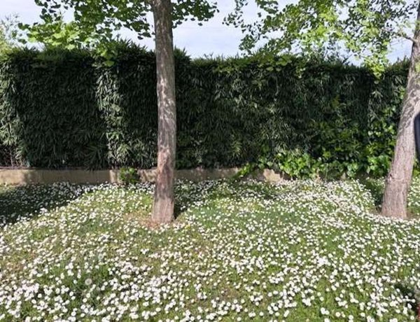 appartamento in vendita a Padova in zona Stanga