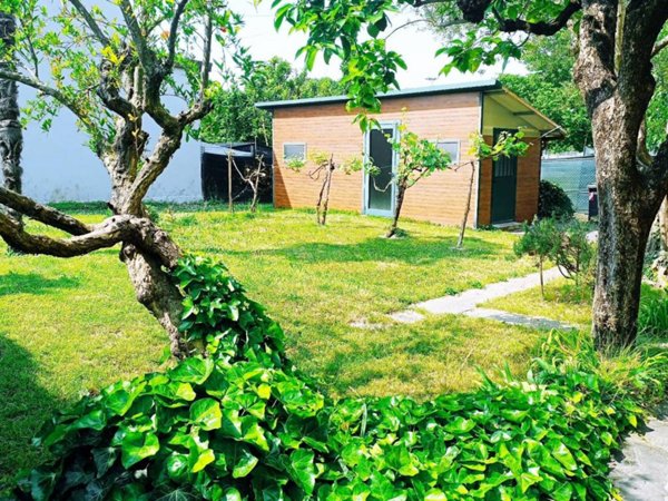 casa indipendente in vendita a Padova in zona Montà
