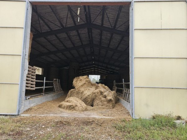 azienda agricola in vendita a Padova in zona Centro Storico
