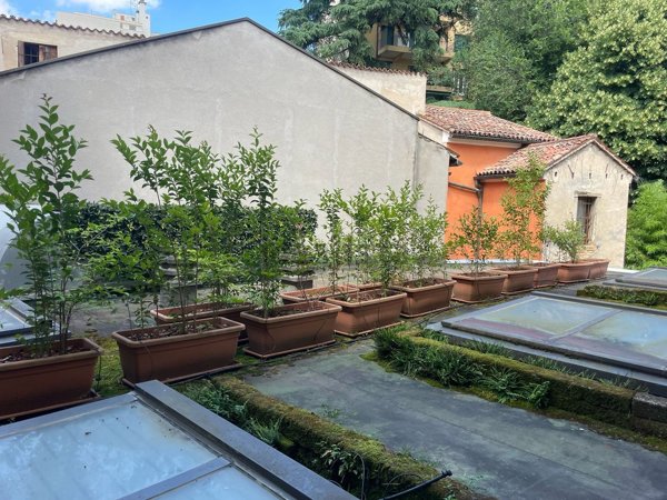 appartamento in vendita a Padova