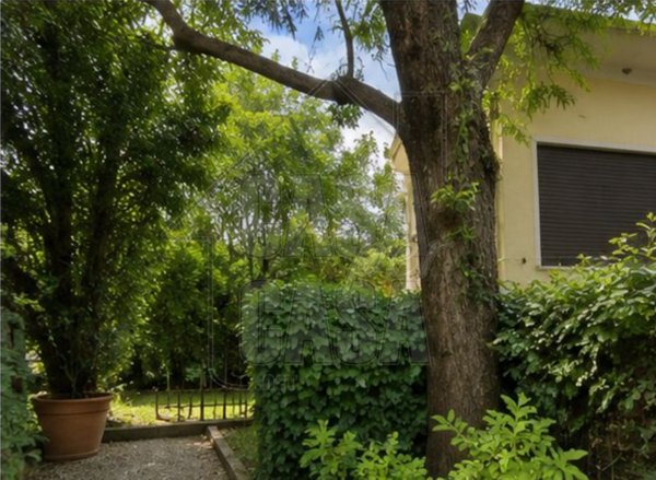 casa indipendente in vendita a Padova in zona Centro Storico