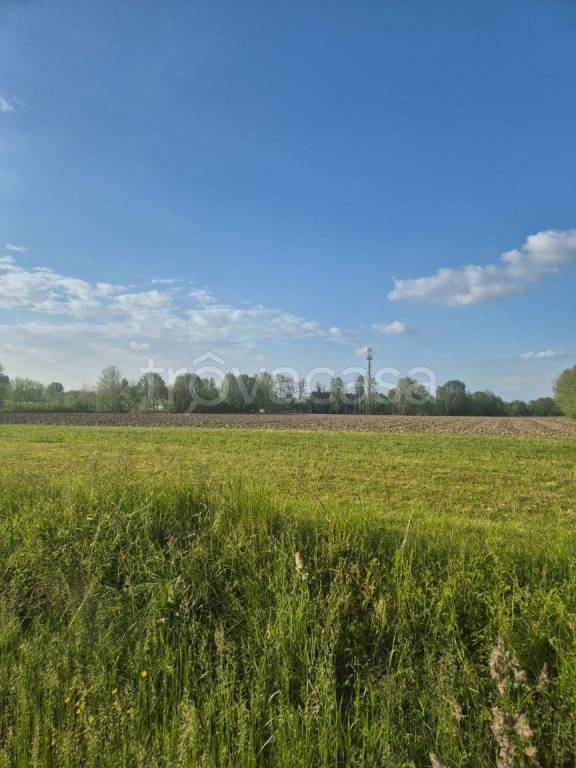 casa indipendente in vendita a Padova in zona Torre