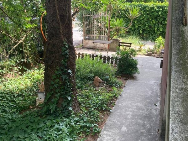 casa indipendente in vendita a Padova in zona Forcellini / Terranegra