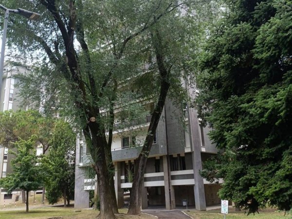 appartamento in vendita a Padova in zona Sant'Osvaldo / Santa Rita
