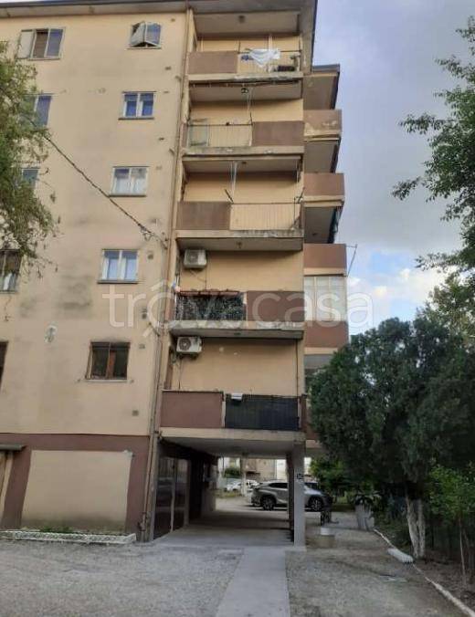 appartamento in vendita a Padova in zona Brentelle