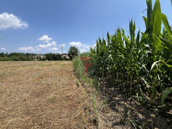 ufficio in vendita a Padova in zona Centro Storico