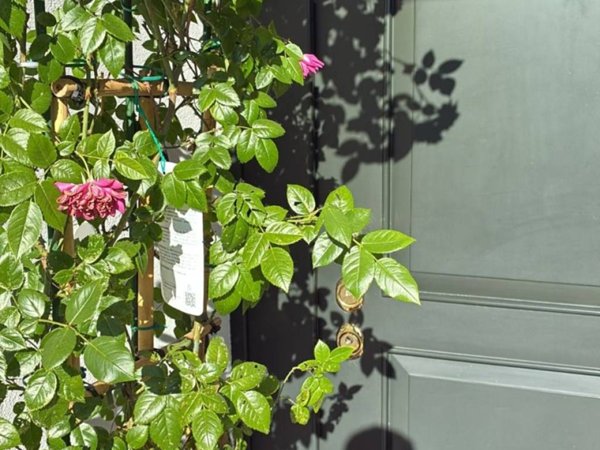 casa indipendente in vendita a Padova in zona Guizza