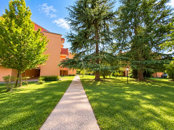 appartamento in vendita a Padova in zona Montà