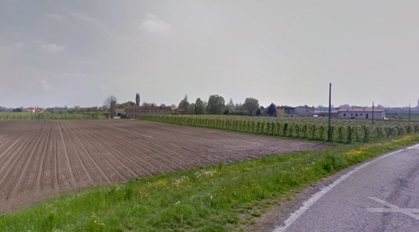 terreno agricolo in vendita a Pernumia