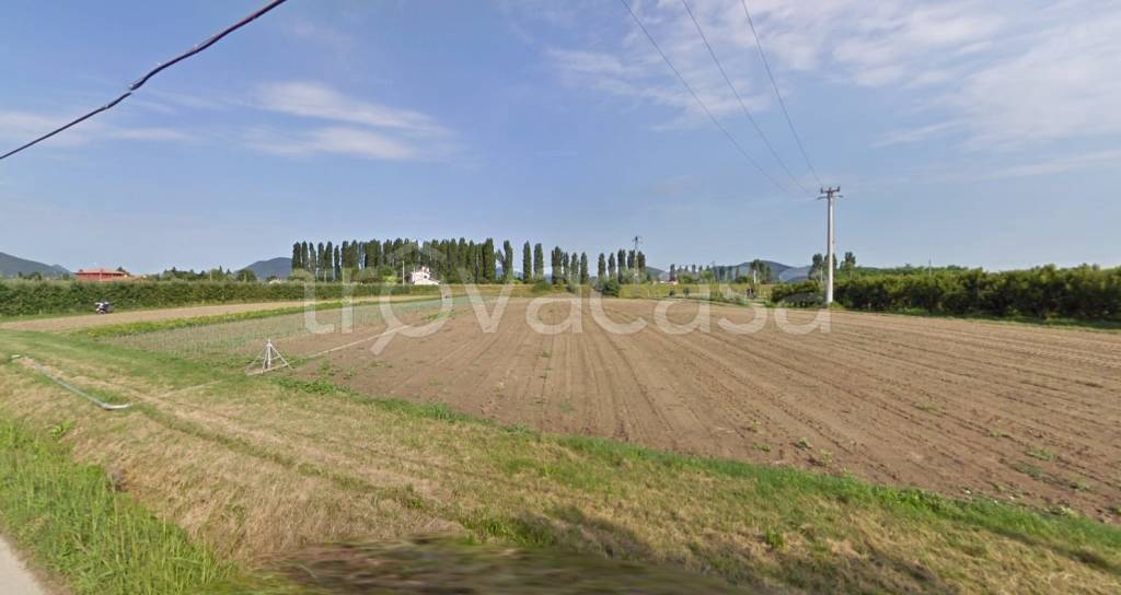 terreno agricolo in vendita a Pernumia