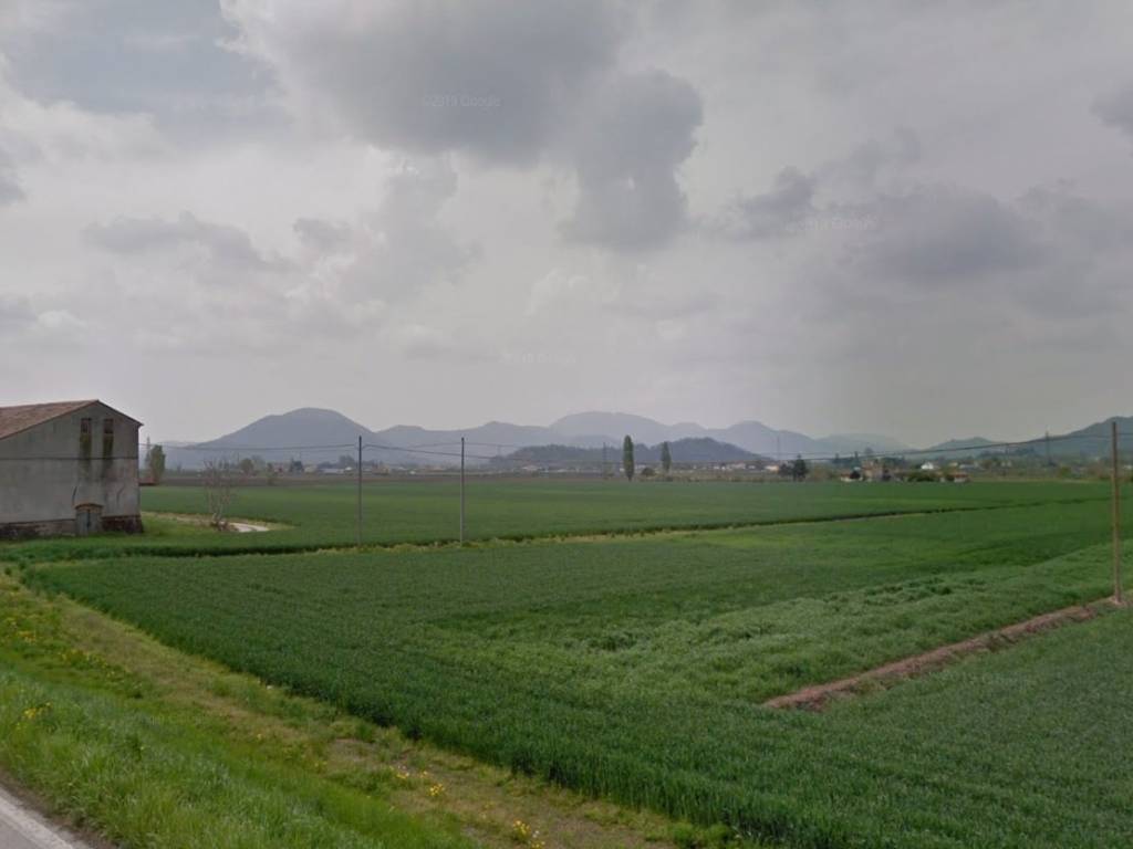 terreno agricolo in vendita a Pernumia