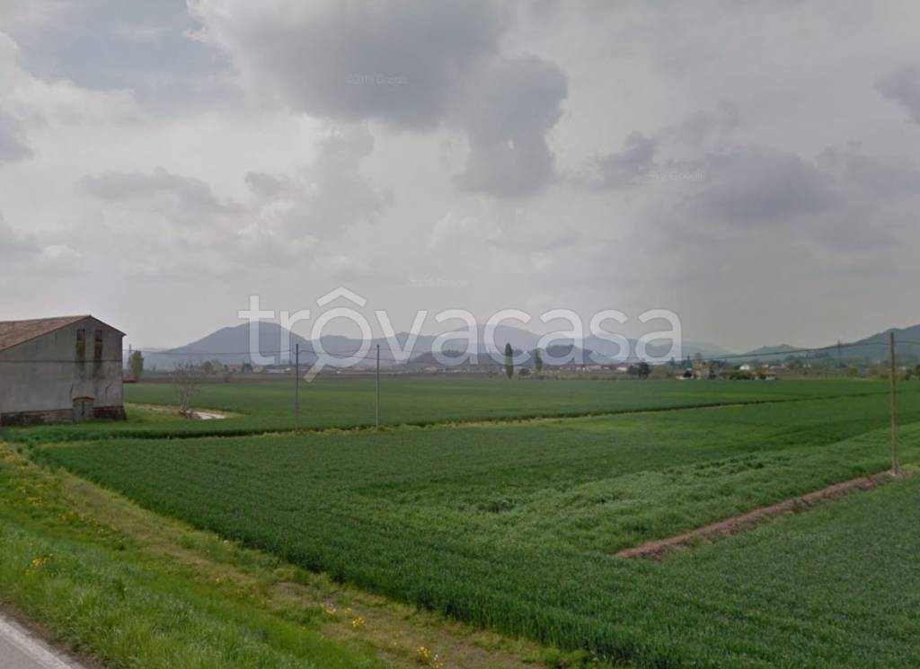 terreno agricolo in vendita a Pernumia