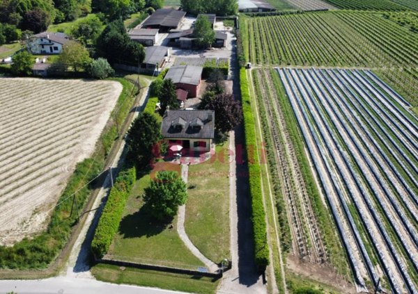 casa indipendente in vendita a Pernumia