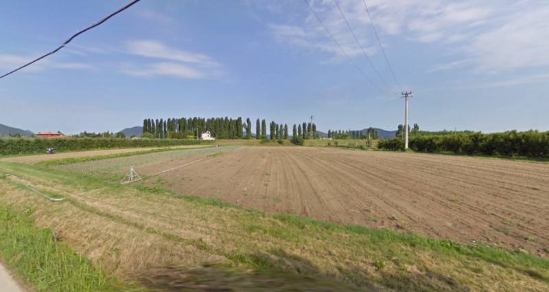 terreno agricolo in vendita a Pernumia