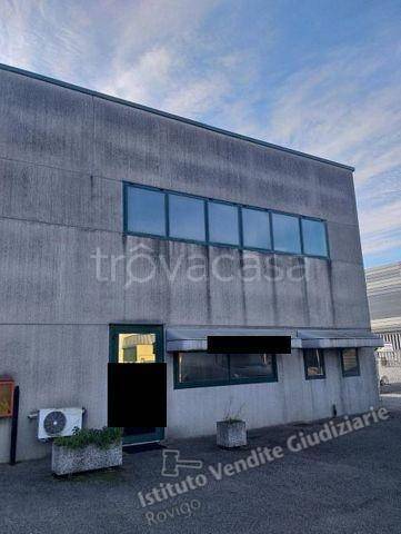 appartamento in vendita a Pernumia