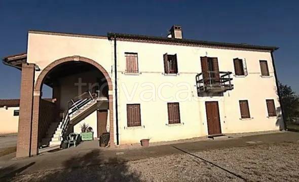 appartamento in vendita a Pernumia