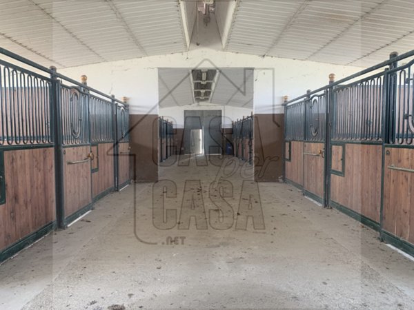 casa indipendente in vendita a Pernumia