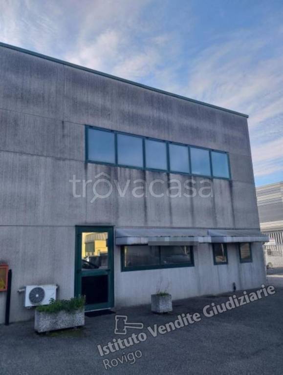 appartamento in vendita a Pernumia