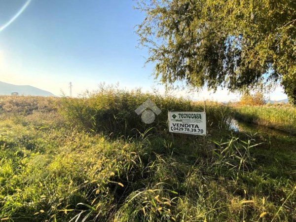terreno agricolo in vendita a Pernumia
