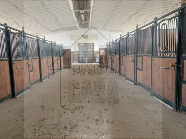 casa indipendente in vendita a Pernumia