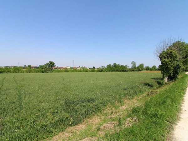 terreno edificabile in vendita a Pernumia