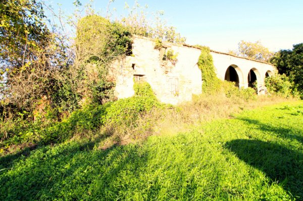 casa indipendente in vendita a Pernumia