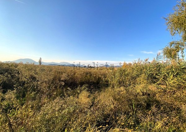 terreno agricolo in vendita a Pernumia