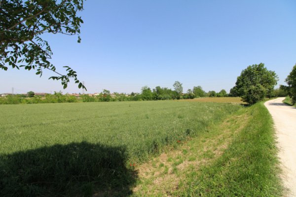 casa indipendente in vendita a Pernumia