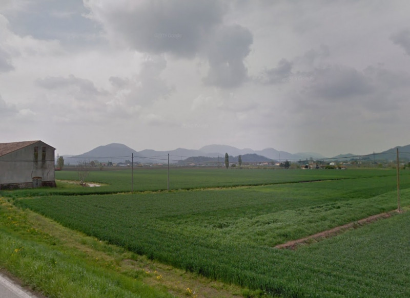 terreno agricolo in vendita a Pernumia